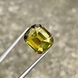ID_131_401_2.C Yellow Chrysoberyl · Fancy Cushion · 16.23 ct · Sri Lanka